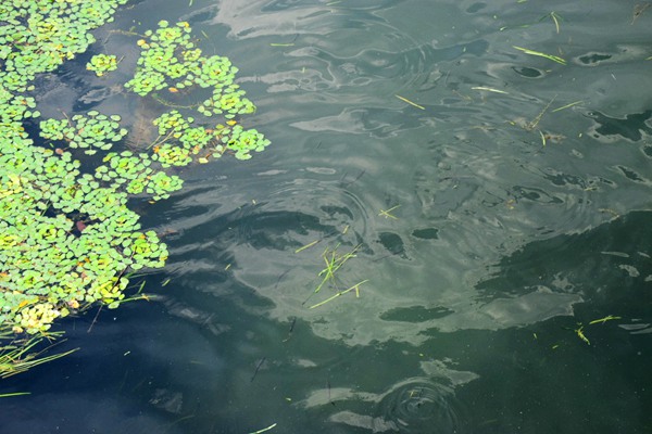 广西局出席自治区邮政分公司2026年工作会议并讲话