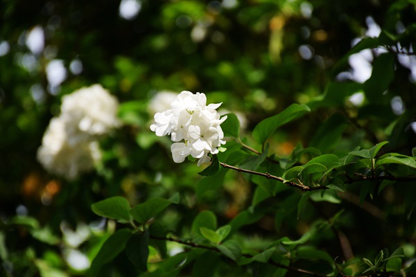 山东局召开快递员群体友好场景建设工作推进会