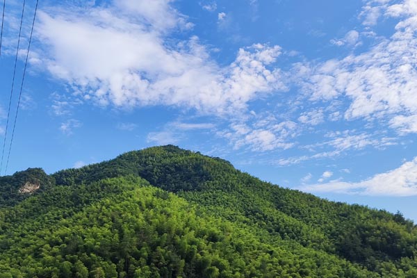 广东人工智能全域全时全行业高水平应用行动方案出台行业迎利好