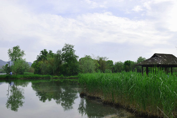 同比大涨17.6%！前2月全国纺织品服装出口504.5亿美元