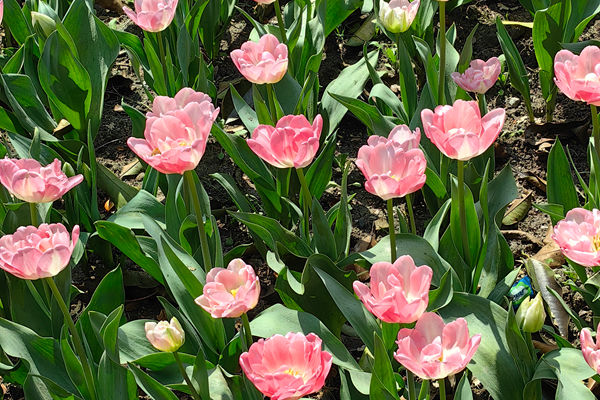 绿色发展，质效跃迁—— 明葵·2026印染行业节能环保年会隆重召开