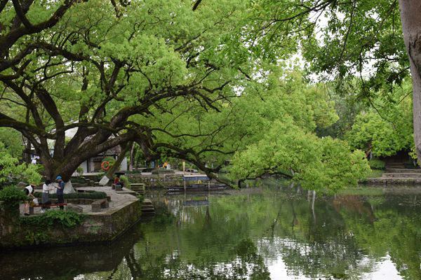 补贴难救亏损，新疆纺织业面临多重考验