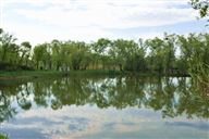 2025年我国服装电商行业运行分析